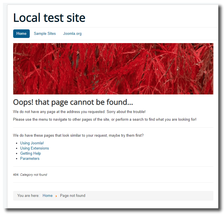 View of a 404 error with suggested similar pages
