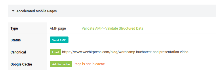 SEOInfo AMP section summary for an AMP page