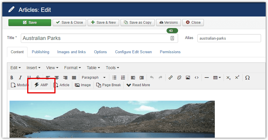 wbAMP editor icon in TinyMCE